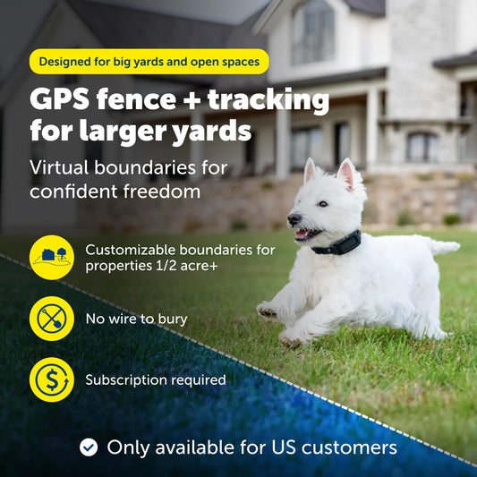 PetSafe Replacement Strap for Guardian GPS 2.0 Dog Fence