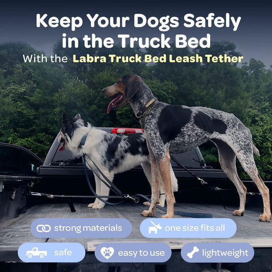 Dog Truck Bed Leash Tether & Vehicle Restraint System