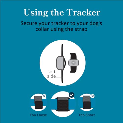petivity Dog GPS Tracker Powered by Purina, Waterproof Real Time Tracking GPS Dog Collar, Downloadable App, Subscription Required