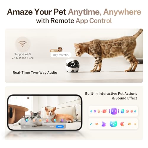 Enabot EBO ROLA Mini Pet Camera Robot: 2K FamilyBot Mobile Home Companion
