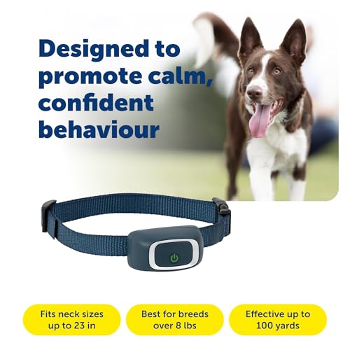 Rechargeable Remote Dog Training Collar with 15 Levels