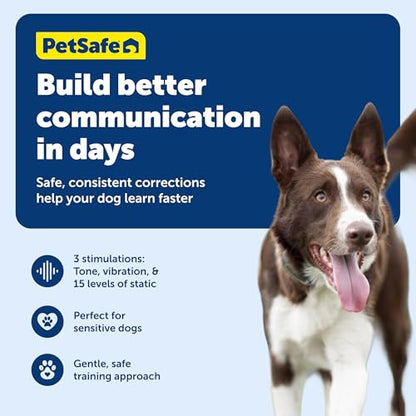 Rechargeable Remote Dog Training Collar with 15 Levels