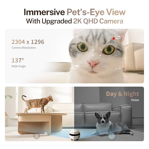 Enabot EBO ROLA Mini Pet Camera Robot: 2K FamilyBot Mobile Home Companion