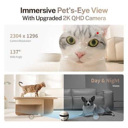 Enabot EBO ROLA Mini Pet Camera Robot: 2K FamilyBot Mobile Home Companion