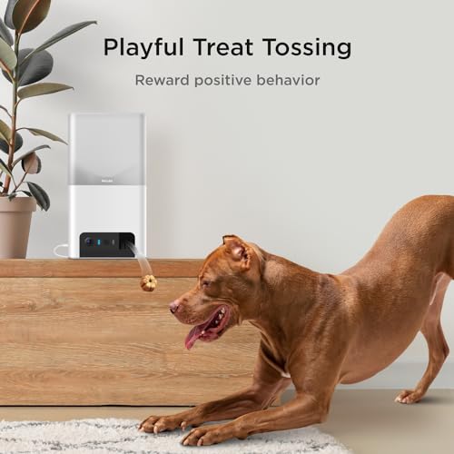 Petcube Bites 2 Lite Interactive WiFi Pet Monitoring Camera with Phone App