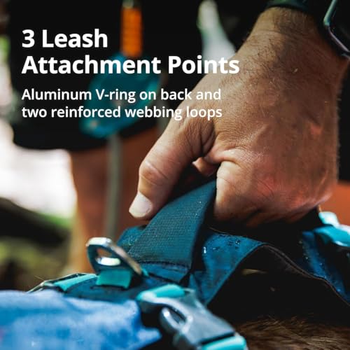 Lightweight Reflective No-Pull Dog Harness for Outdoor Use