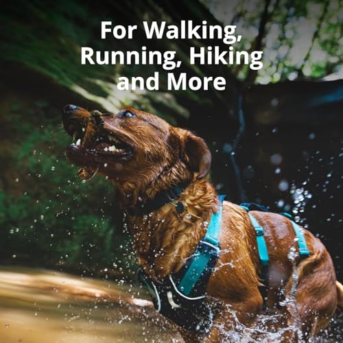 Lightweight Reflective No-Pull Dog Harness for Outdoor Use