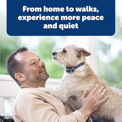 Rechargeable Remote Dog Training Collar with 15 Levels