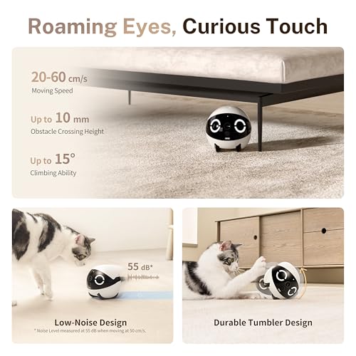 Enabot EBO ROLA Mini Pet Camera Robot: 2K FamilyBot Mobile Home Companion