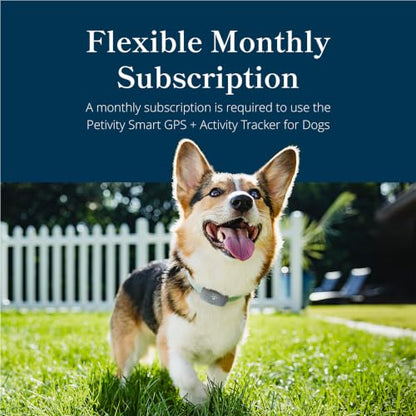 petivity Dog GPS Tracker Powered by Purina, Waterproof Real Time Tracking GPS Dog Collar, Downloadable App, Subscription Required