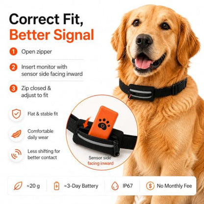 Smart Dog Health Monitoring Collar, Heart Rate, Respiratory & Activity Tracker with Wellness Insights, Waterproof Pet Collar with App(No Monthly fee)