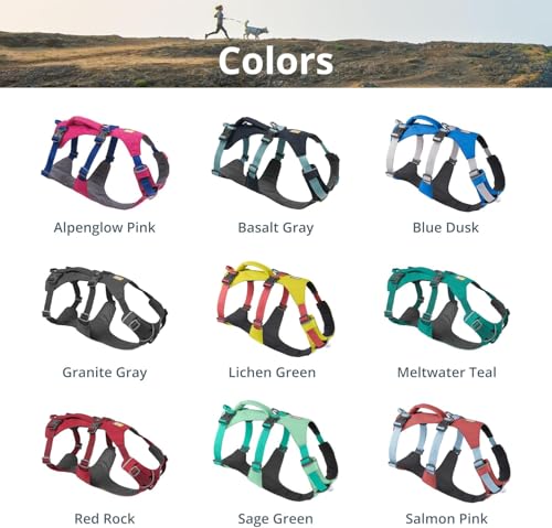Lightweight Reflective No-Pull Dog Harness for Outdoor Use