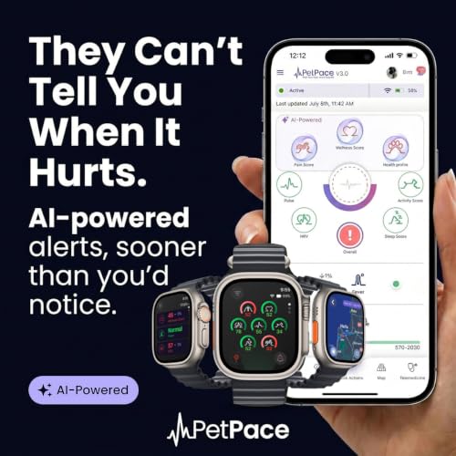 AI Dog Health Collar with Vital Signs, GPS & Vet Sharing