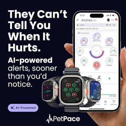 AI Dog Health Collar with Vital Signs, GPS & Vet Sharing