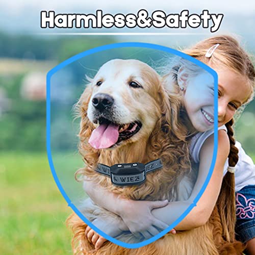 GPS Wireless Dog Fence with 65–3281 ft Adjustable Range