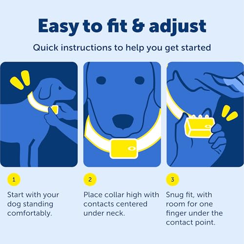Rechargeable Remote Dog Training Collar with 15 Levels