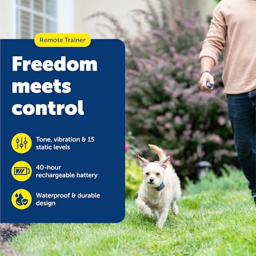 Rechargeable Remote Dog Training Collar with 15 Levels