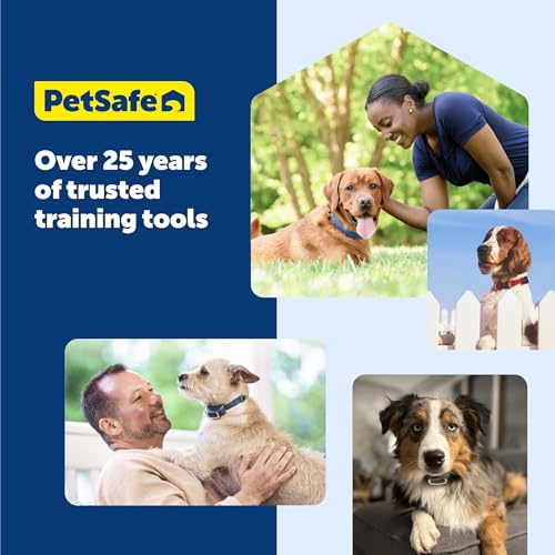 Rechargeable Remote Dog Training Collar with 15 Levels