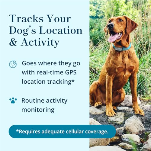 petivity Dog GPS Tracker Powered by Purina, Waterproof Real Time Tracking GPS Dog Collar, Downloadable App, Subscription Required