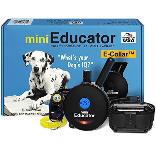 Educator ET-300 Mini