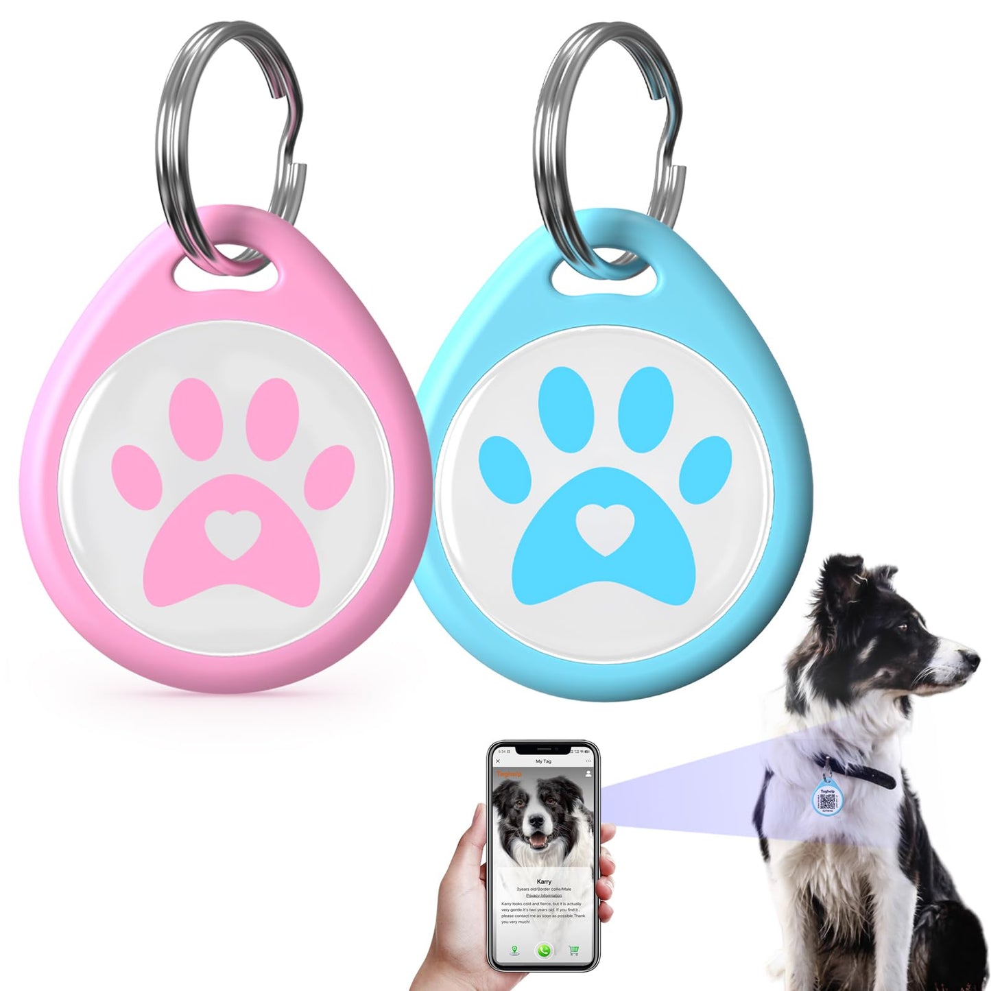 QR Code Pet ID Tag with Scan Alerts & Digital Profile