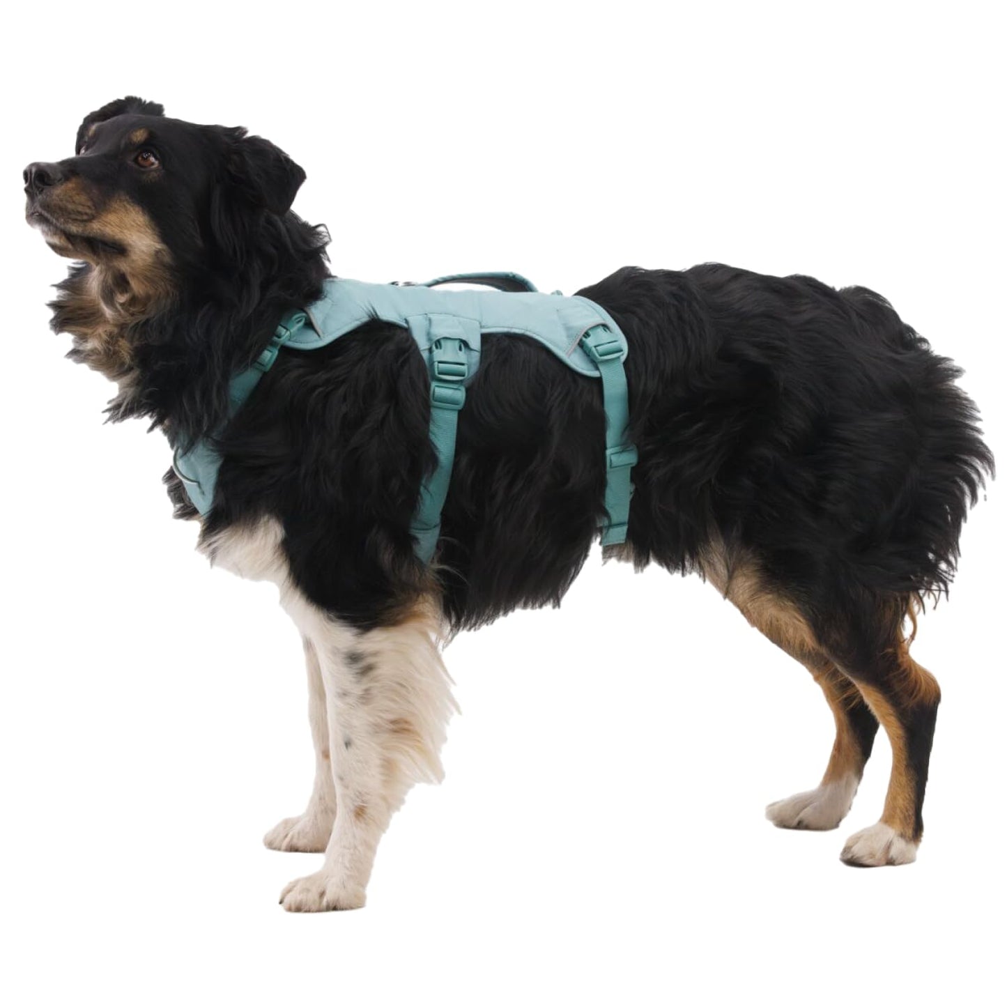 Ruffwear, Web Master Dog Body Harness