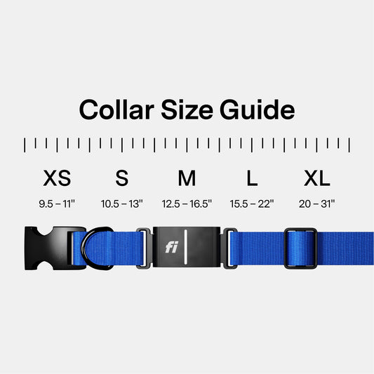 Fi Series 3+ Smart Dog Collar, GPS + Health Tracking, 6-Month Membership