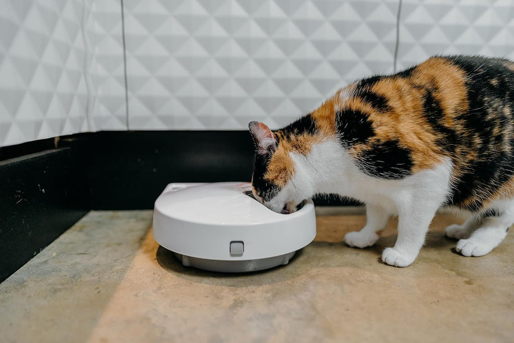 Cat Mate C500 Automatic 5 Bowl Digital Timer-Controlled Pet Feeder and Accessories