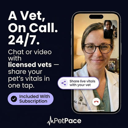 AI Dog Health Collar with Vital Signs, GPS & Vet Sharing