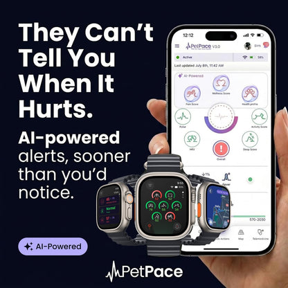 AI Dog Health Collar with Vital Signs, GPS & Vet Sharing