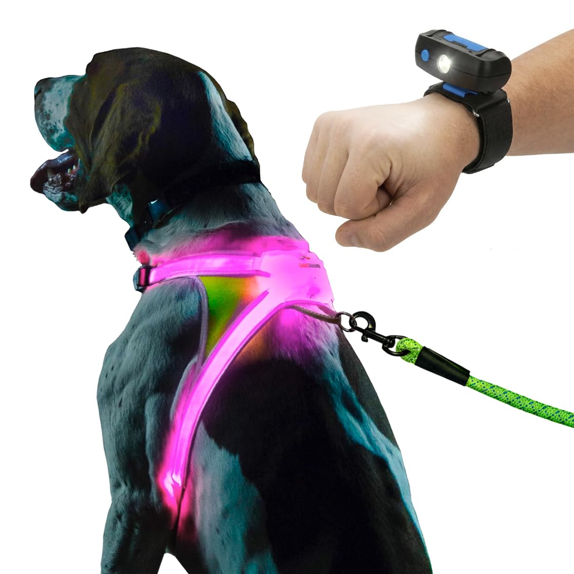 Rechargeable LED Reflective Dog Harness with Multicolor Lights