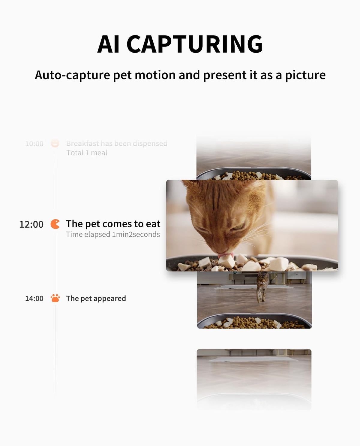 1080P Smart Pet Feeder with Camera & Two-Way Audio