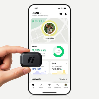 Fi Mini Smart GPS Tracker for Dogs, Health Tracking, Waterproof