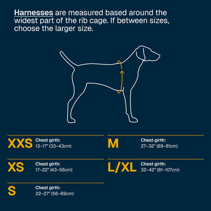 Ruffwear, Web Master Dog Body Harness