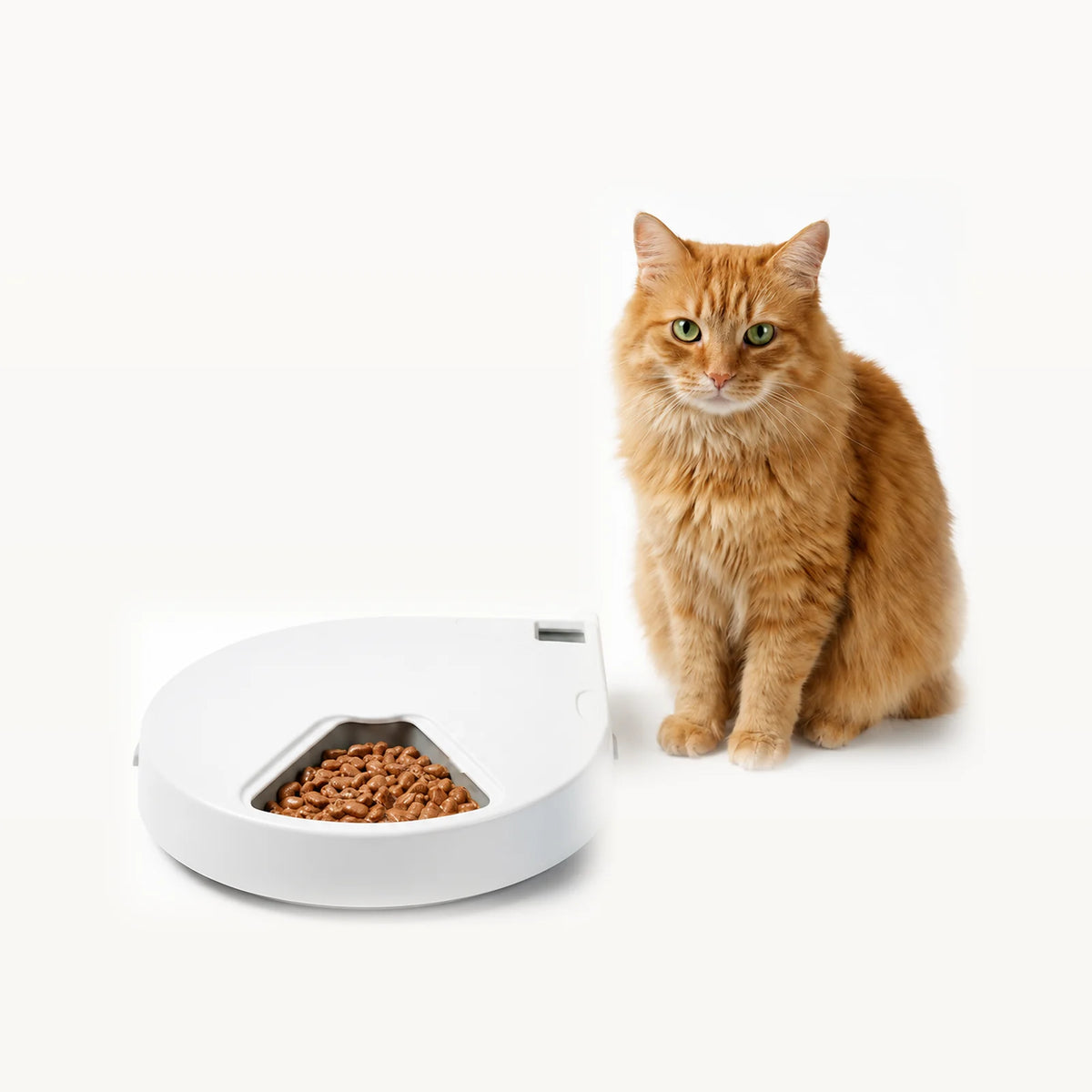 Automatic Feeders