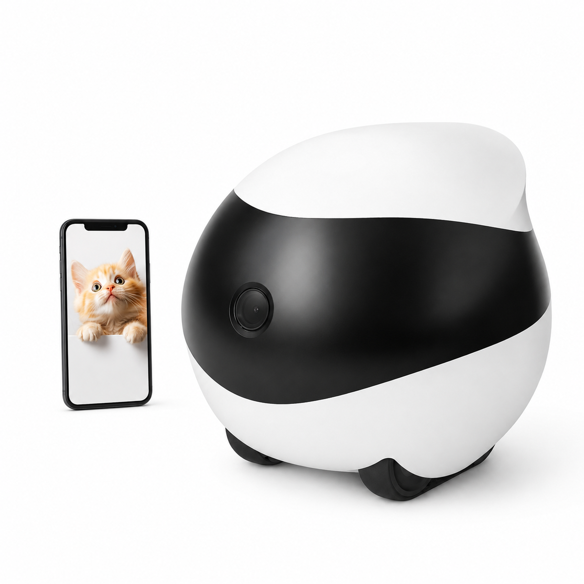 Pet Cameras