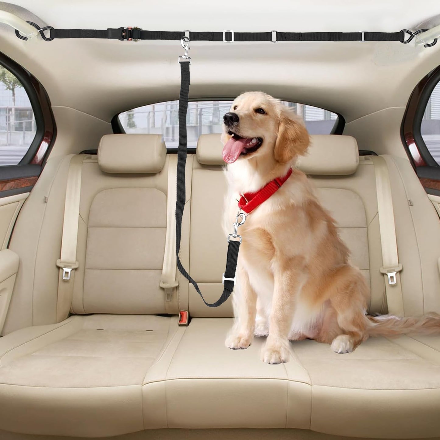 Adjustable Dual-Dog Vehicle Tether & Restraint System