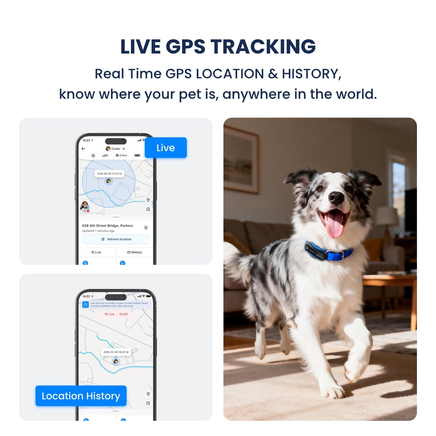 DBDD AI GPS Dog Tracker, Virtual Fence & AI Health Monitor, Waterproof