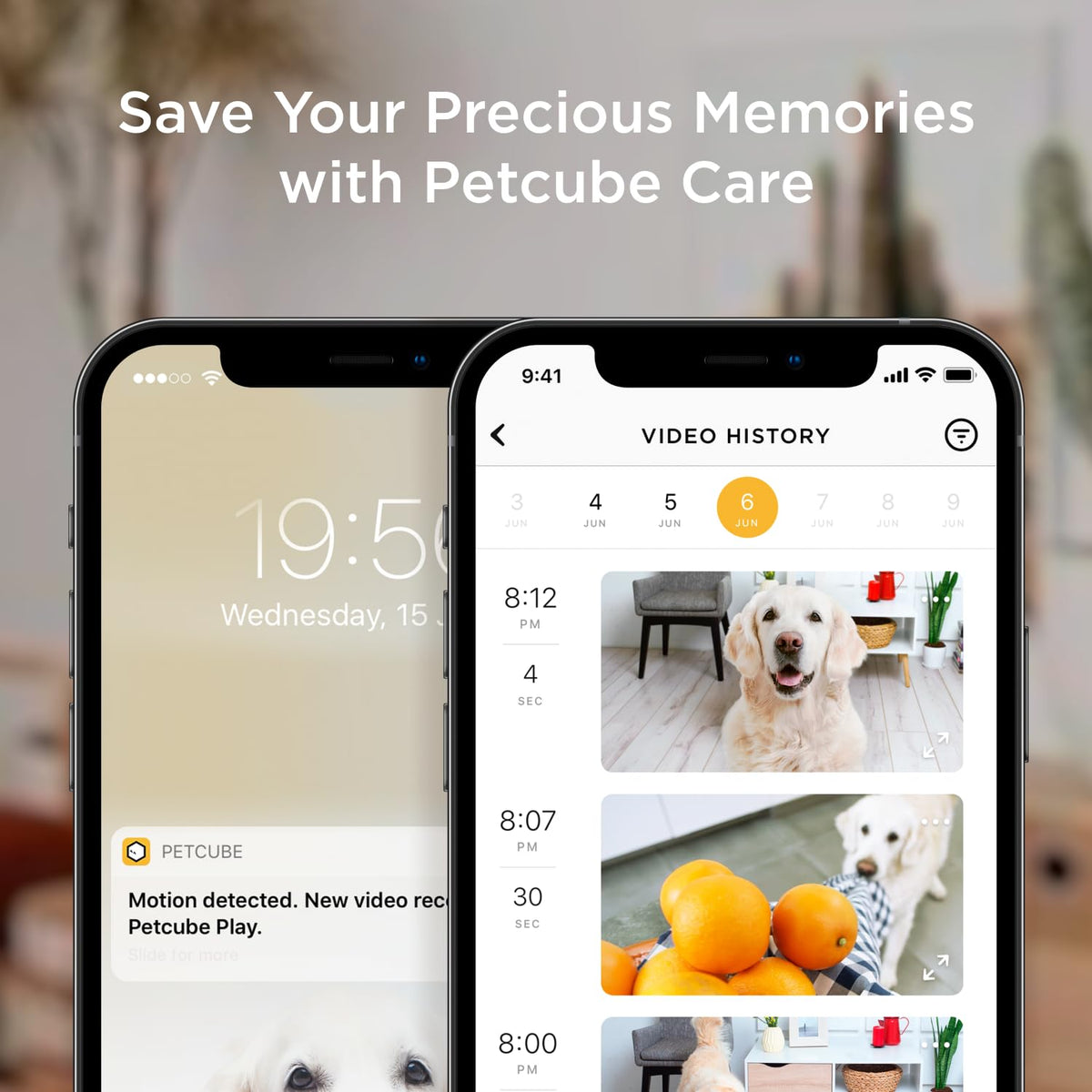 Petcube Bites 2 Lite Interactive WiFi Pet Monitoring Camera with Phone App