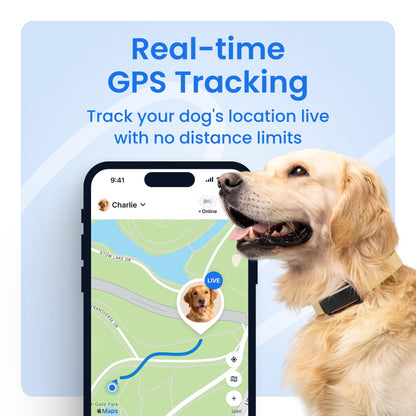 Tractive Smart Dog GPS Tracker | Live Pet Tracker with Virtual Fence | Vital Signs Monitoring of Heart & Respiratory Rate | Bark Monitoring | Dog Collar Attachment