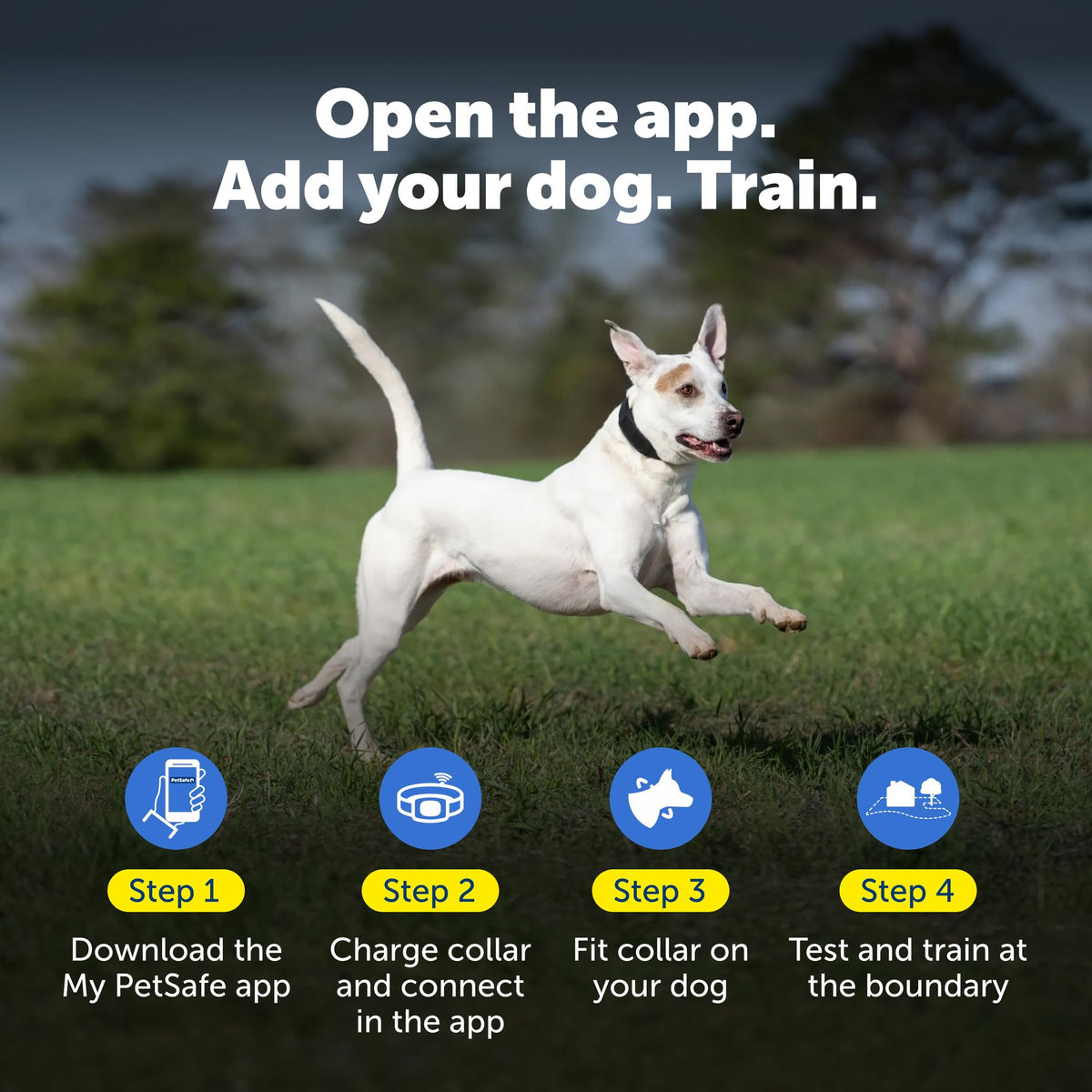 Subscription-Free GPS Dog Collar with Wireless Fence