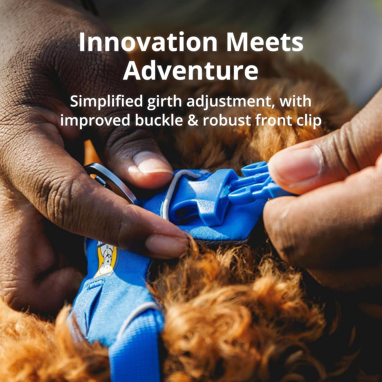 Reflective Padded Dog Harness with Dual Leash Clips