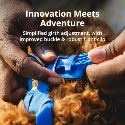 Reflective Padded Dog Harness with Dual Leash Clips