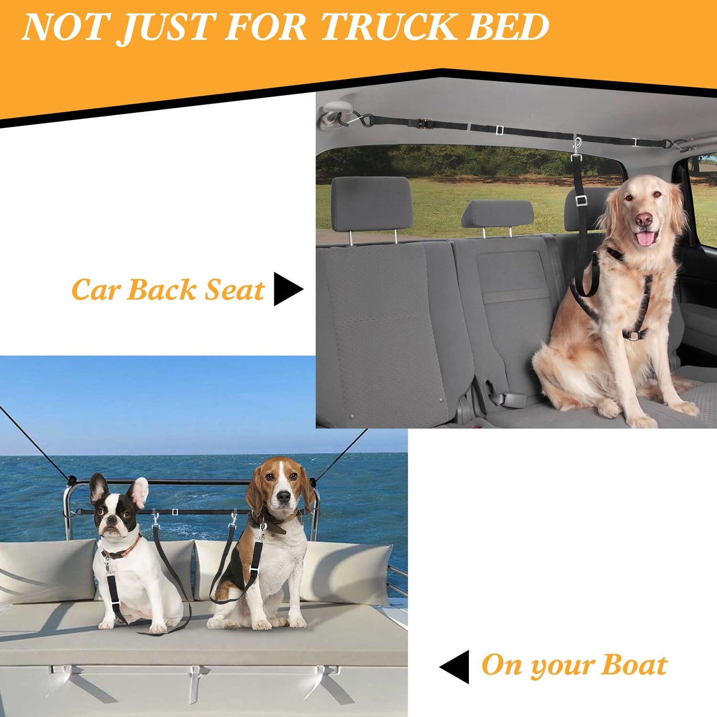 Adjustable Dual-Dog Vehicle Tether & Restraint System