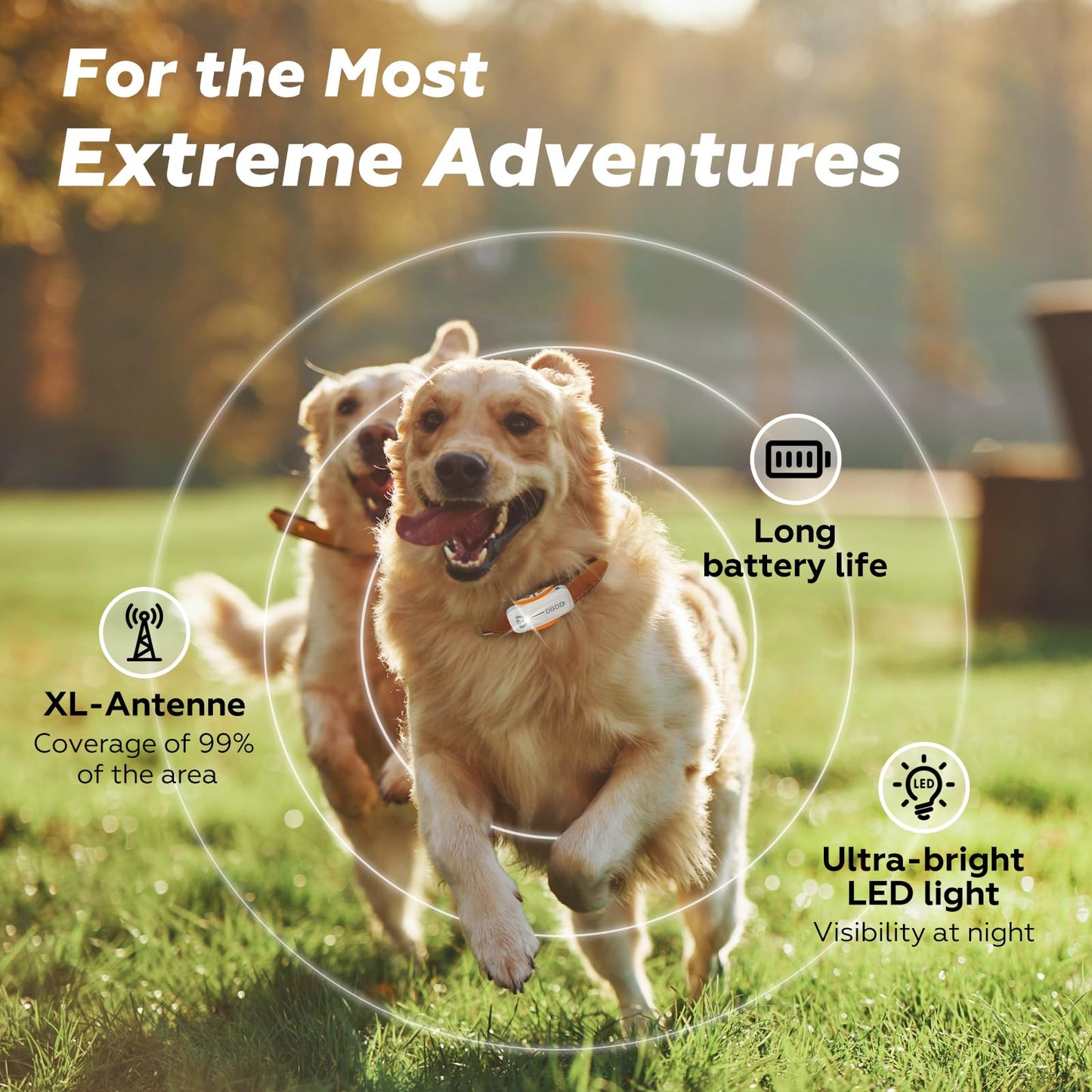 AI Dog GPS Tracker with Virtual Fence & Health Monitoring