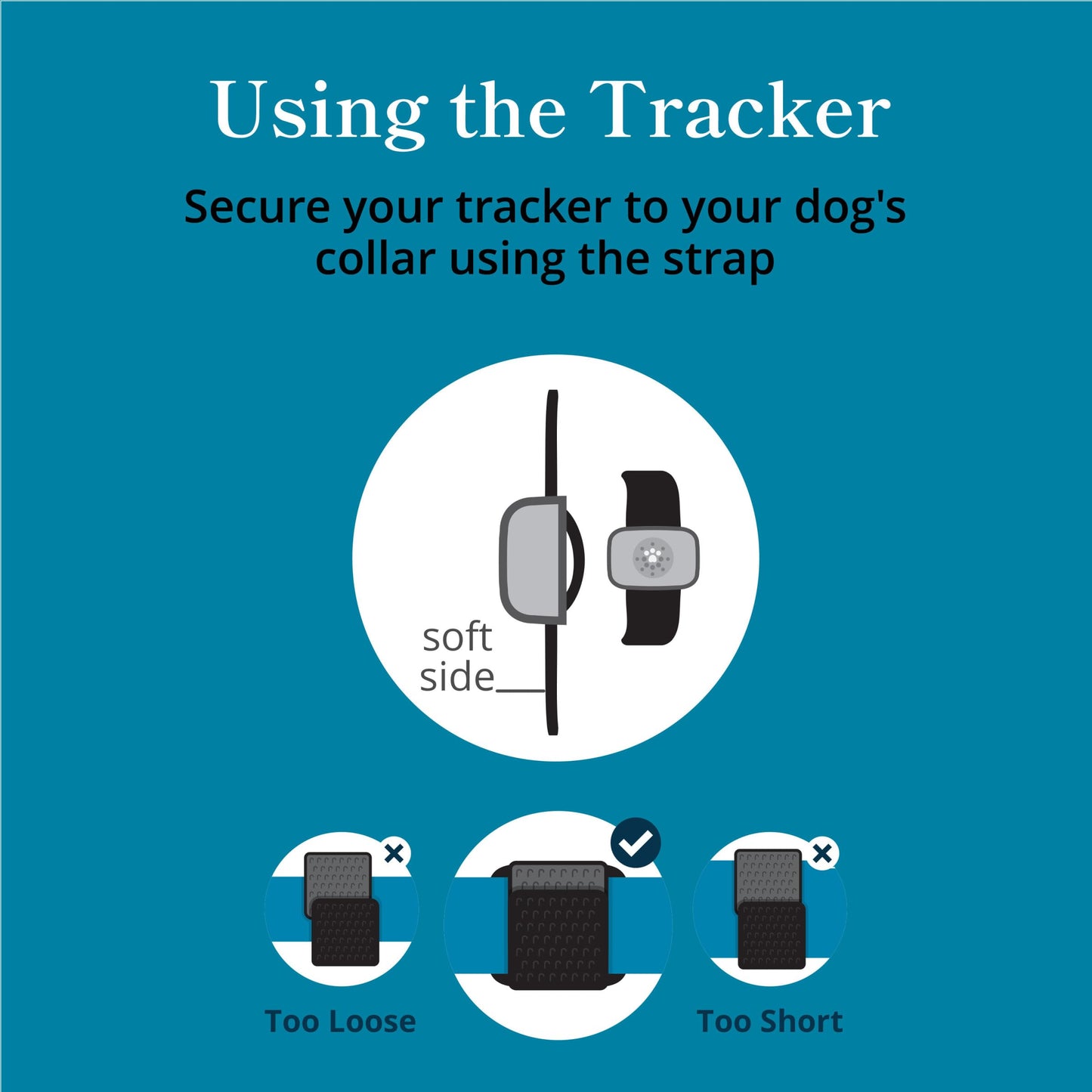 petivity Dog GPS Tracker Powered by Purina, Waterproof Real Time Tracking GPS Dog Collar, Downloadable App, Subscription Required