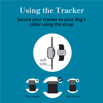 petivity Dog GPS Tracker Powered by Purina, Waterproof Real Time Tracking GPS Dog Collar, Downloadable App, Subscription Required