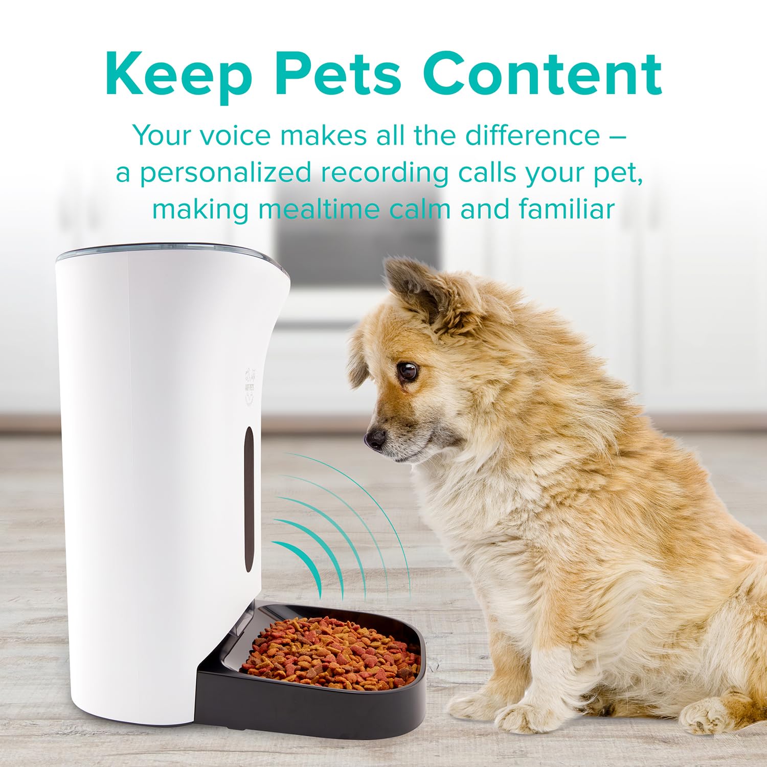 Automatic Pet Feeder with Portion Control & Voice Recording