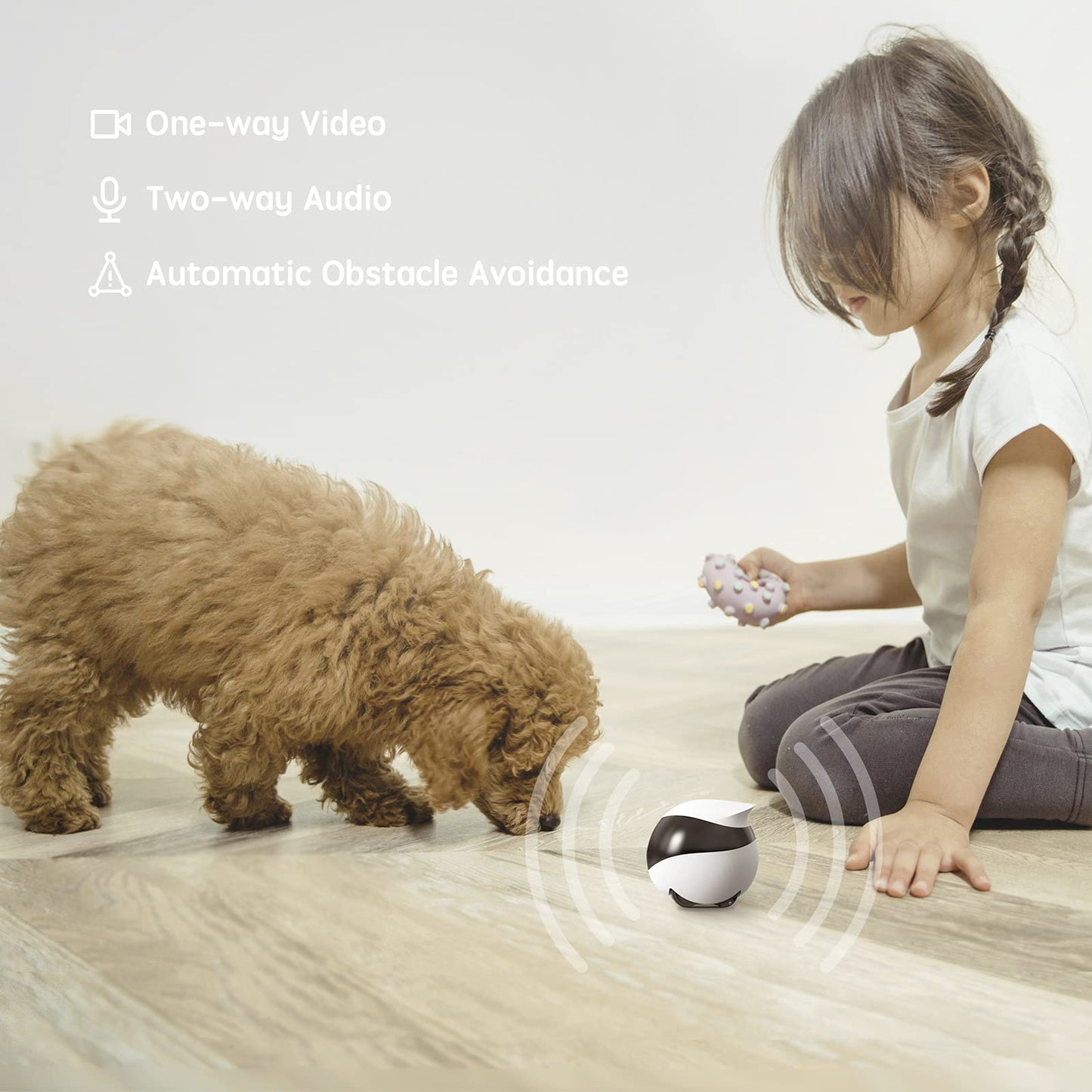 Enabot EBO SE Home Robot Camera: 1080P Mobile FamilyBot Pet Companion