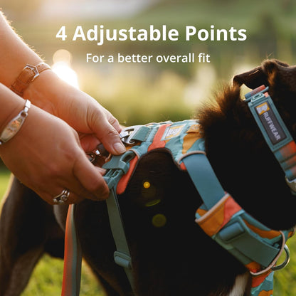 Reflective Padded Dog Harness with Dual Leash Clips